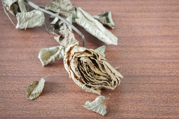 The last valentine rose.