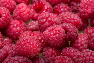 A beautiful selection of freshly picked ripe red raspberries.