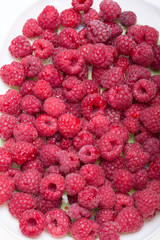 A beautiful selection of freshly picked ripe red raspberries.