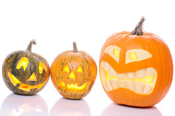 Tourist tent in forest camp among meadow