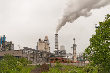 factory for drying