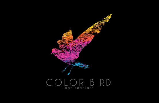 Color bird. Rainbow logo. Colorful logo design. Creative logo