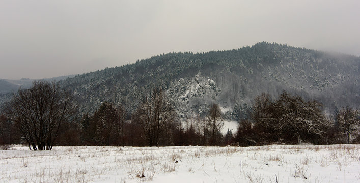 Pulcin rock in dark winter