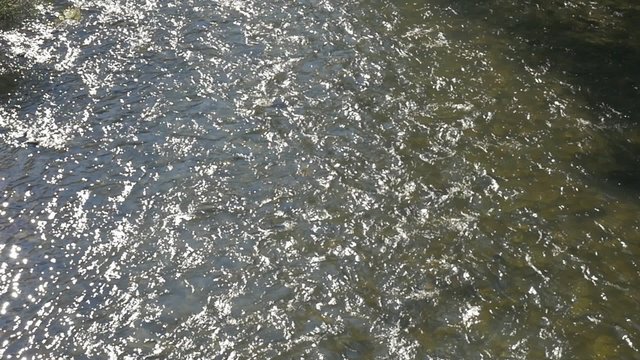  crystal clear rapids on river Cerna spa resort Herculane in Romania 1080p HD footage - Rapids of fresh mountain Cerna river in Western Romania slow-mo 1920X1080 HD video 
