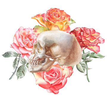 Illustration with skull and roses