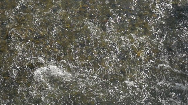 Slow motion of crystal clear rapids on river Cerna spa resort Herculane in Romania 1080p HD footage - Rapids of fresh mountain Cerna river in Western Romania slow-mo 1920X1080 HD video 