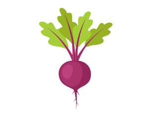 Flat icon beet with leaves. Vector illustration.