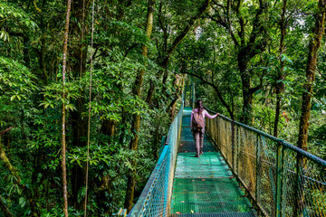 Naklejka premium Girl on hanging bridge in cloudforest - Monteverde, Costa Rica