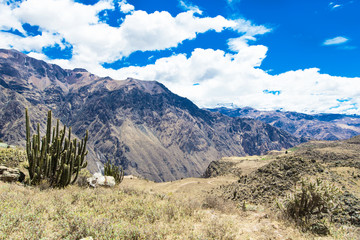 landscape of  Peru