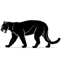 Naklejka premium panther with huge tusks 