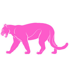 Fototapeta premium pink panther with huge tusks 