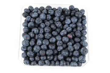 blueberries in container isolated on white background