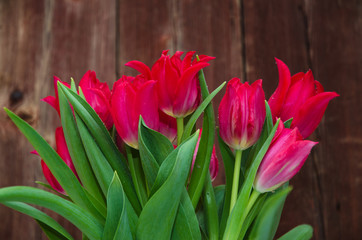 Obraz na płótnie Canvas Red tulips boquet