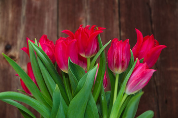 Red tulips boquet