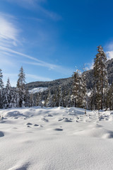 Verschneite Winterlandschaft in den Bergen, schneebedeckte Bäume