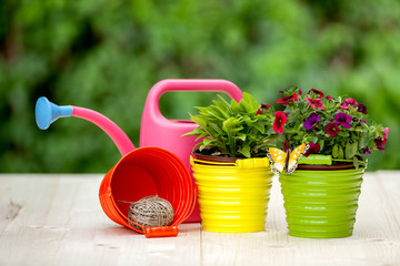 Garden equipment and flowers
