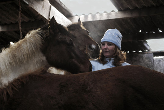 vrouwen in winter tussen paarden in stal