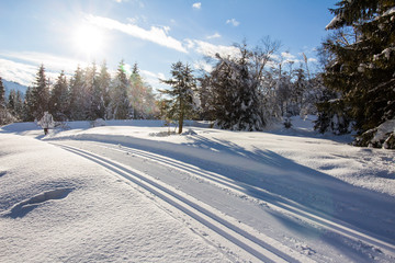 Langlaufloipe, Winterlandschaft in den Bergen, Hinterthal