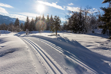 Fototapeta premium Langlaufloipe, Winterlandschaft in den Bergen, Hinterthal