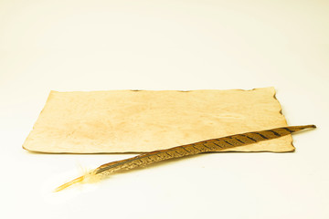 Pen and old papyrus