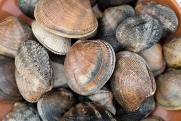 Gordijnen Detail of clams © gitanna