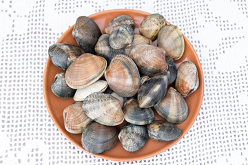 Detail of clams