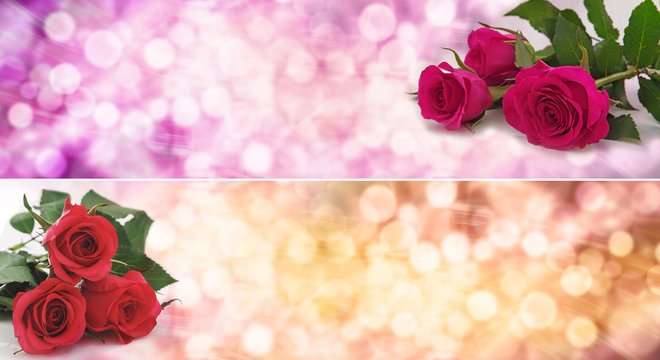 Roses Bokeh Banner - 2 different roses banners, one with three pink roses on pink background and one with three red roses on a golden bokeh banner ideal for mothers day, valentines and love themes