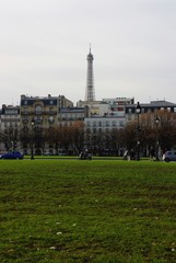 The Eiffle Towar and the grass, Paris, France © emar