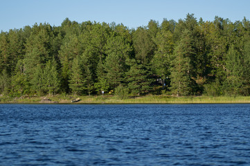 forest and lake