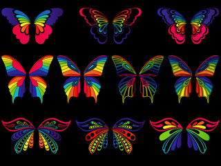 Color butterflies on the black background