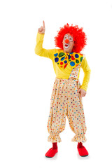 Funny playful clown