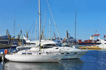 Obraz premium Motor yacht in jetty