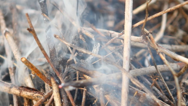 smoke coming from under the dry branches