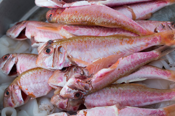 Frittura di pesce misto con gamberi triglie e calamari