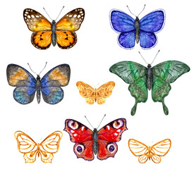 Fototapeta na wymiar Colored butterflies set