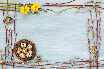 Easter background. Border of willow branch and narcissus, quail eggs in nest. Copy space, top view