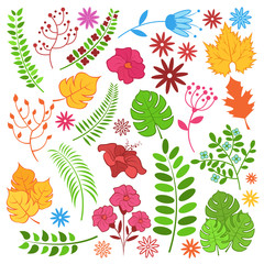 Fototapeta premium Floral set. Vector cartoon color illustration