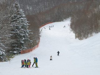 スキースクール