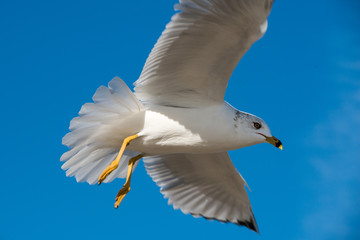 Padre Island National Seashore