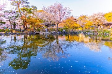 Fototapeta na wymiar Maruyama Garden in Kyoto