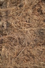 Coconut Coir Husk Fiber texture