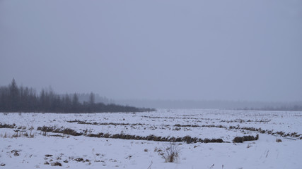 Frozen Stream in Winter