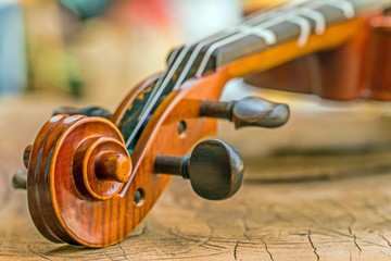 Close up of a violin set up for a beginer on wooden surface
