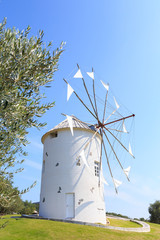 ギリシャ風車 -小豆島オリーブ公園-