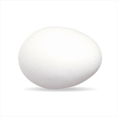 Ei Eier Bio Ostern Eierschale weiß Bauernhof essen Vektor Güteklasse Hühnerei liegend  - - Egg Organic Easter eggshell white farm food vector easter hen's egg chicken egg horizontal