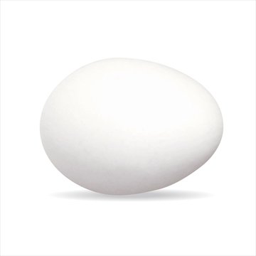 Ei Eier Bio Ostern Eierschale wei&szlig; Bauernhof essen Vektor G&uuml;teklasse H&uuml;hnerei liegend  - - Egg Organic Easter eggshell white farm food vector easter hen's egg chicken egg horizontal