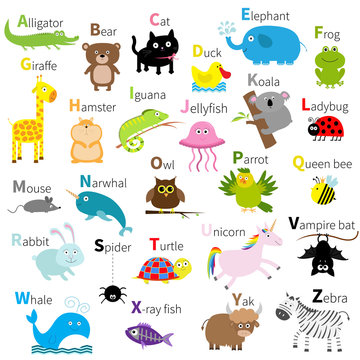 Zoo animal alphabet. Cute cartoon character set. Isolated. White design. Baby children education. Alligator, bear, cat, duck, elephant, frog, giraffe, hamster, iguana, jellyfish, koala Flat design.