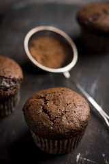 Chocolate muffins on the dark rustic wooden background