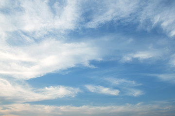 Fototapeta premium blue sky