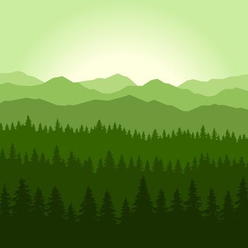 Green Fog Coniferous Forest and Mountains Background. Vector